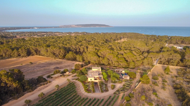 Villa Mediterránea con Piscina, Viñedo y Licencia Turística
