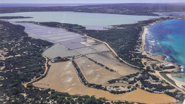 Parque Natural de Ses Salines