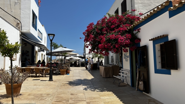 Sant Francesc Xavier